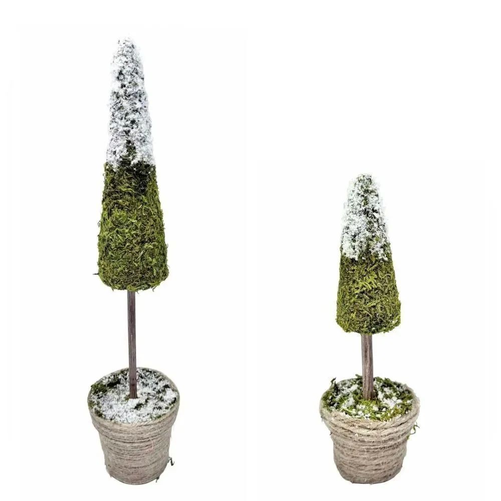 Bundle of two Natural Moss Tabletop Christmas Tree Decor 16" & 8"